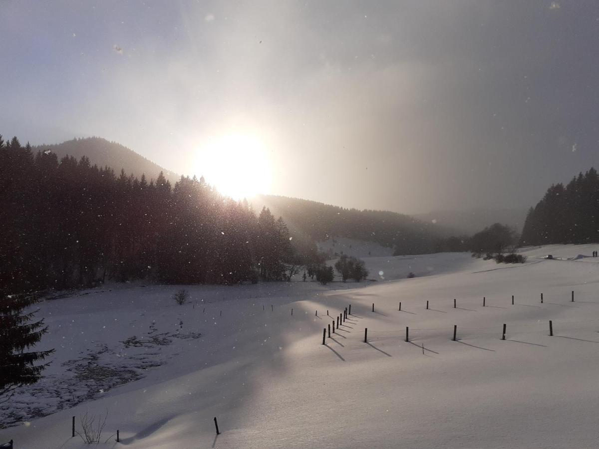 Appartements Und Ferienhaus Gasthof Kanzlersgrund โอบาโฮฟ ภายนอก รูปภาพ